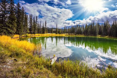  Kanada'da Jasper Milli Parkı'nda güneşli bir gün