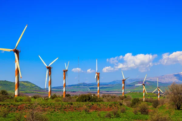 Verschillende grote moderne windmolens — Stockfoto