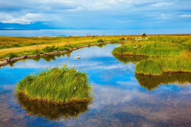  Yeşil çayır tarafından çevrili küçük gölet