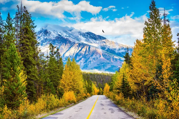 Kanadische Rockies an einem schönen Septembertag — Stockfoto