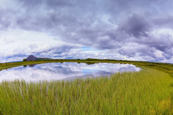 Liten sjö omgiven av grön äng — Stockfoto