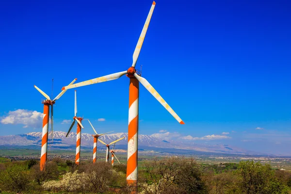 Mehrere riesige moderne Windmühlen — Stockfoto