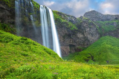 Rainbow su damla Süsle