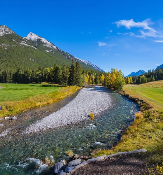 Bach zwischen grünen Rasenflächen — Stockfoto