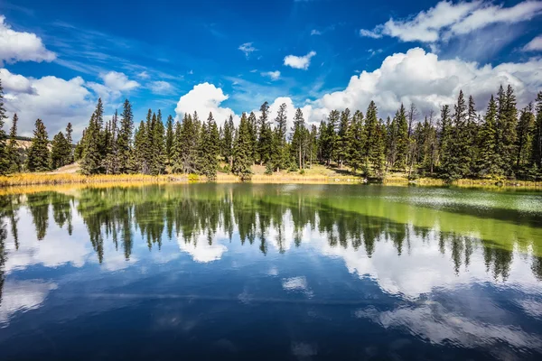 Sevimli küçük göl — Stok fotoğraf