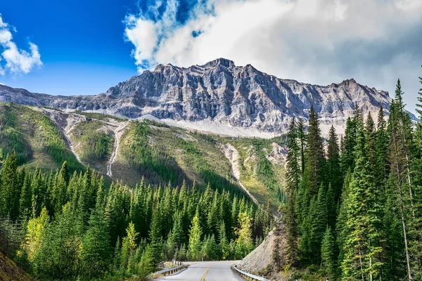 Дорога в Национальном парке Йохо в Канаде — стоковое фото