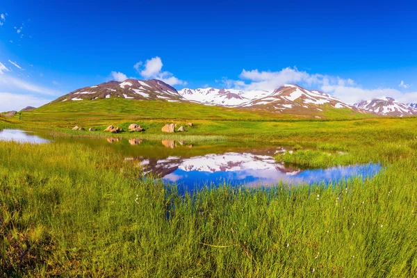 Velden begroeid met groen gras — Stockfoto