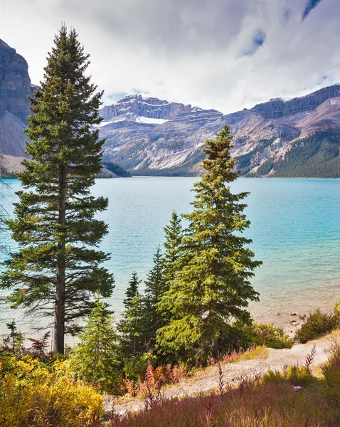 Día soleado en Bow Lake — Foto de Stock