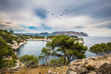 The bay- Calanque with rocky steep banks 
