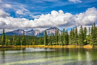 Göl köknar ağaçlarıyla çevrilidir.