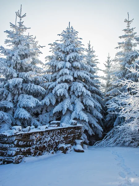 Su una radura la catasta di legno esatta è messa — Foto Stock