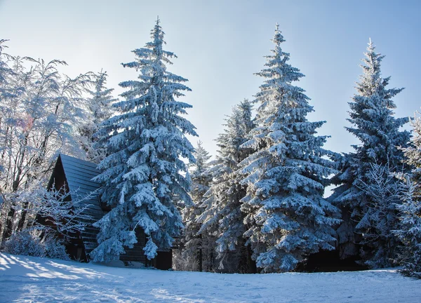 New Year's morning in the Czech Tatras — Stock Photo, Image