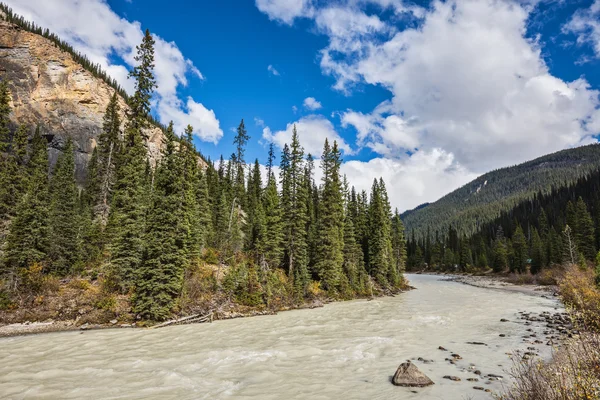 Full-flowing water flow in Yoho National Park. — Stock Photo, Image