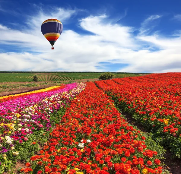 In de lucht vliegende schilderachtige ballon — Stockfoto