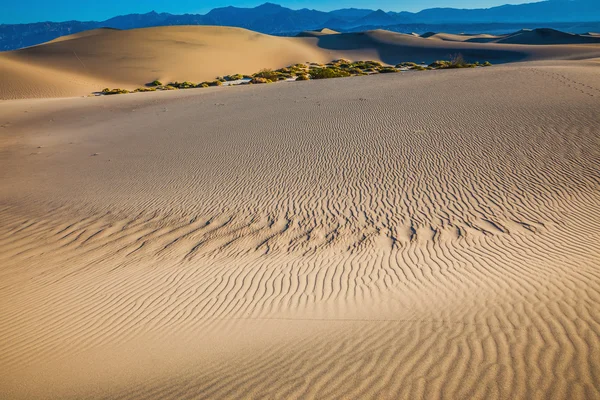 Pequenas ondulações nas dunas de areia — Fotografia de Stock