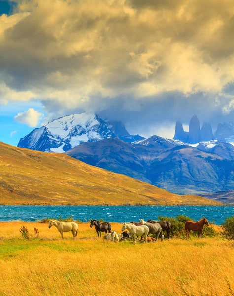 Rochers Torres del Paine — Photo