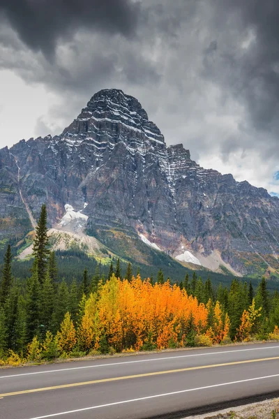 Majestic mountains and glaciers beside the road — Stock Photo, Image