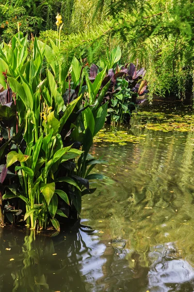 Teich mit Inseln - Blumenbeete — Stockfoto