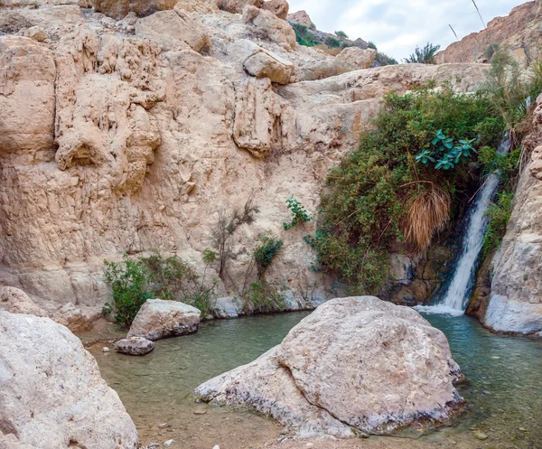 Τα αποθεματικά Ein Gedi — Φωτογραφία Αρχείου