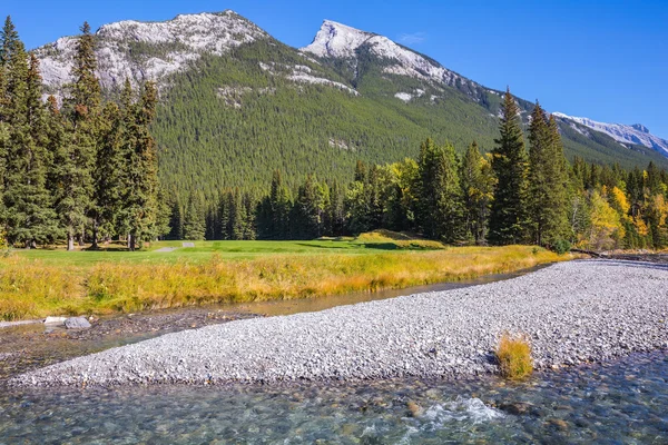 Wasserlauf mit Kieselgrund — Stockfoto