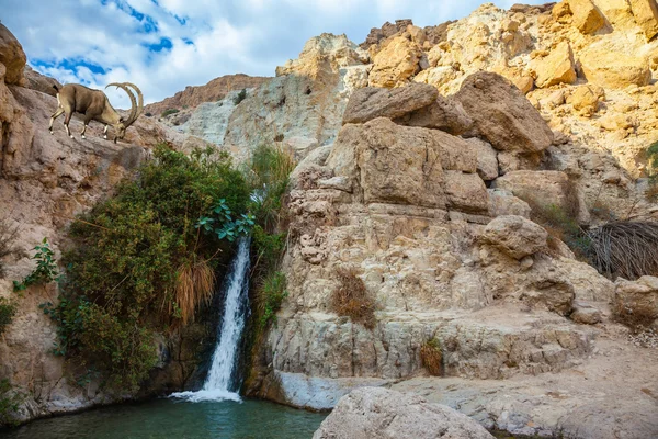 Prachtige waterval en vijver — Stockfoto