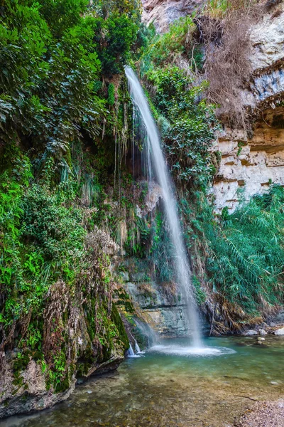 Ein-Gedi - the reserve and national park of Israel — Stockfoto