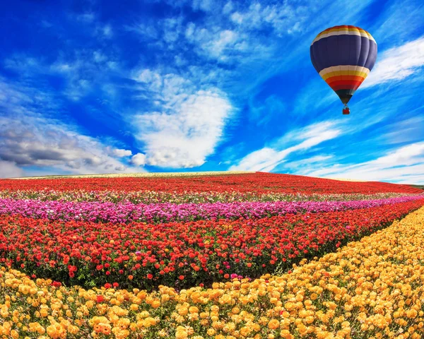 Over the field in sky flying big balloon — Stock fotografie