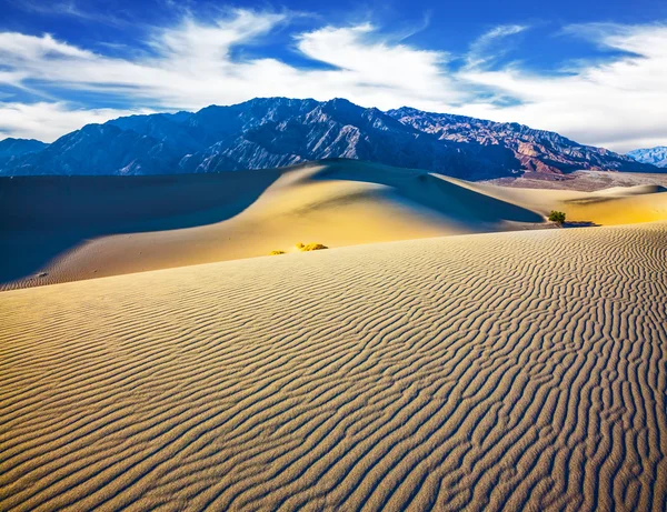 Manhã ventosa no deserto — Fotografia de Stock