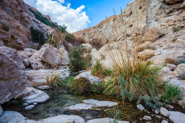 Typisch Midden-Oosten landschap — Stockfoto