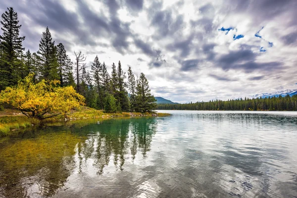 Tiché jezero v přírodní rezervaci — Stock fotografie