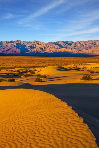 Mesquite Dunas planas de arena — Foto de Stock