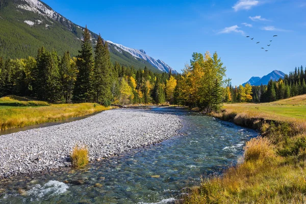 Día soleado de otoño en Rockies canadienses —  Fotos de Stock