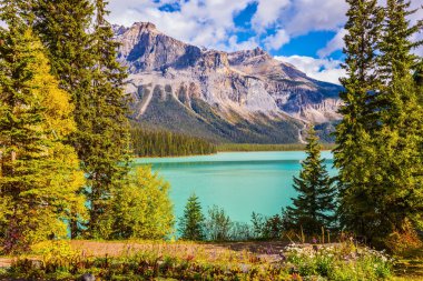 karla kaplı Alps gölde yansıtılır