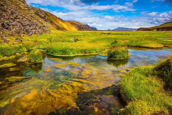 Zelená tráva mezi horké prameny v údolí — Stock fotografie