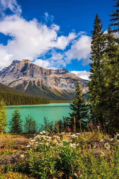 Parque Nacional Yoho — Fotografia de Stock