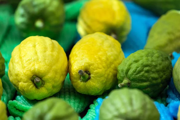 Judisk Högtid Suckot Etrog Rituell Citrusfrukt För Festlig Bön Jerusalem — Stockfoto