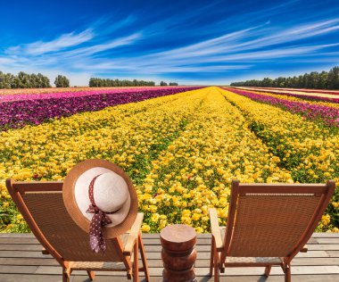 Düğün çiçeği tarlaları. Katlanan ahşap sandalyeler - güverte sandalyeleri ve tarlanın kenarında dinlenmek için küçük bir masa. Sandalyenin arkasında asılı zarif saman kadın şapkası.