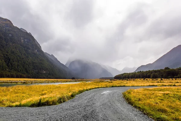 Estrada Terra Para Fiorde Marítimo Milford Sound Ilha Sul Nova — Fotografia de Stock