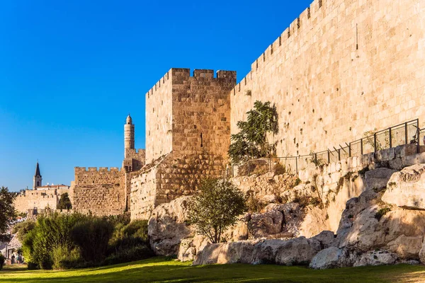 緑の芝生は古代の壁の下で成長した 暑い夏の日没 古いエルサレムの要塞の壁 古代の城塞 ダビデの塔 歴史的 巡礼的 写真観光の概念 — ストック写真