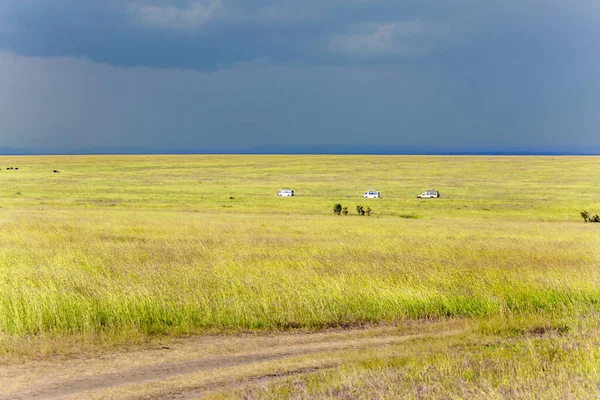 Summer Thunderstorm Savannah Tourist Jeeps Safari Tour Masai Mara Reserve — Stock Photo, Image
