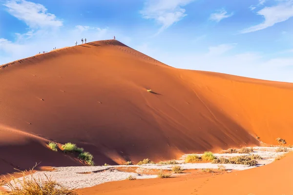 Bodem Van Het Gedroogde Meer Sussussflay Geelrode Duinen Rinkelende Stilte — Stockfoto