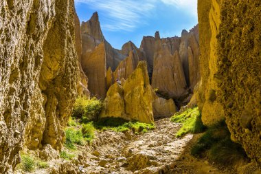 Muhteşem yaz günbatımı. Clay Cliffs 'in manzarası. Yeni Zelanda 'ya git. Aktif, eko ve fotoğraf turizmi kavramı