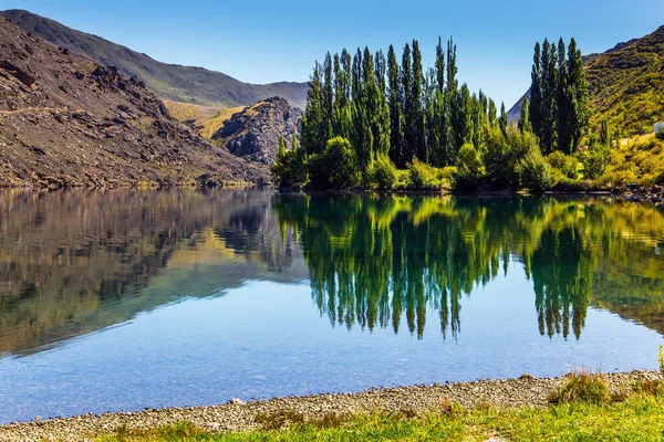 柏树小巷反映在湖中 南岛的美丽 新西兰南部阿尔卑斯山 克伦威尔市的周围环境 生态和摄影旅游的概念 — 图库照片