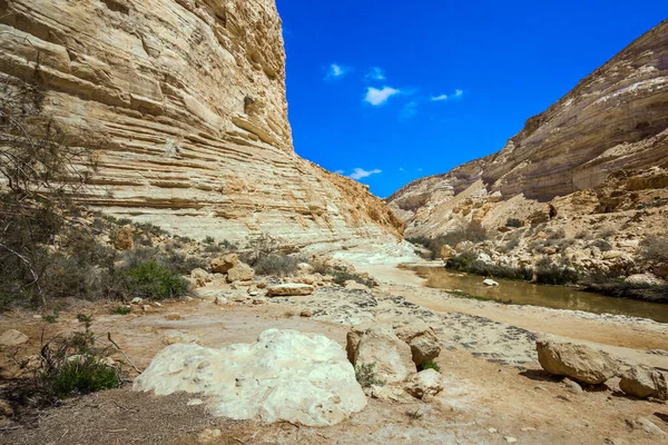 以色列 峡谷的墙壁被山洞腐蚀了 启动路线 这个峡谷是由清江的水形成的 埃文达特峡谷是内盖夫沙漠中最美丽的峡谷 — 图库照片
