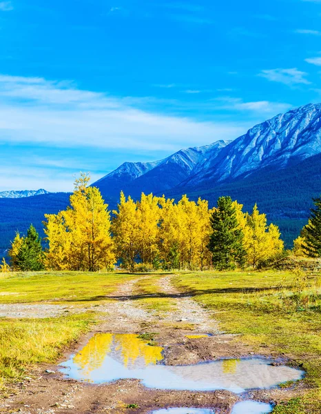 Valley Klippiga Kanada Gyllene Höst Abraham Sjö Begreppet Ekologisk Aktiv — Stockfoto