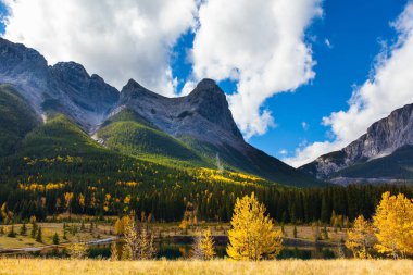 Banff Park 'taki Üç Kız Kardeş Dağı. Parlak sonbahar ormanı gölün yumuşak suyuna yansıyor. Kenmore 'un varoşlarında. Aktif, ekolojik ve fotoğraf turizmi kavramı