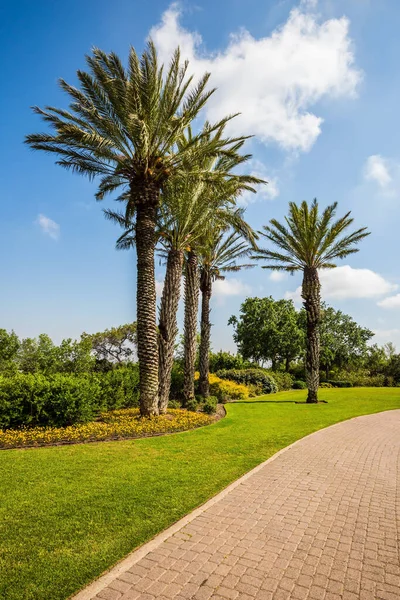 Warme Zonnige Dag Geweldige Wandeling Een Schoon Goed Onderhouden Park — Stockfoto