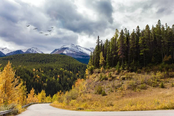 Concept Active Car Photo Tourism Road Miette Hot Springs Hottest — Stock Photo, Image