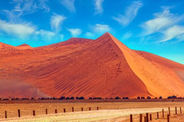 Namib Naukluft Çölü. Afrika 'ya büyük bir gezi. Sussussflay Gölü. Turuncu görkemli kumullar. Kum tepelerinin görkemli resimleri. Aktif, egzotik, aşırı ve fotoğraf turizmi kavramı