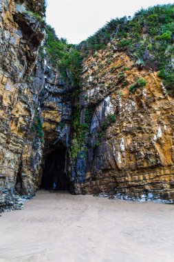 Fantastik Yeni Zelanda. Güney Adası 'nın pitoresk Pasifik sahili. Kıyı mağaraları sadece okyanus gelgitinde açılır. Ekolojik, egzotik, aktif ve fototürizm kavramı